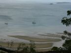 Fraser Island 7.JPG (40 KB)